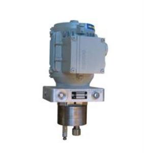 德國WOERNER溫度調節器